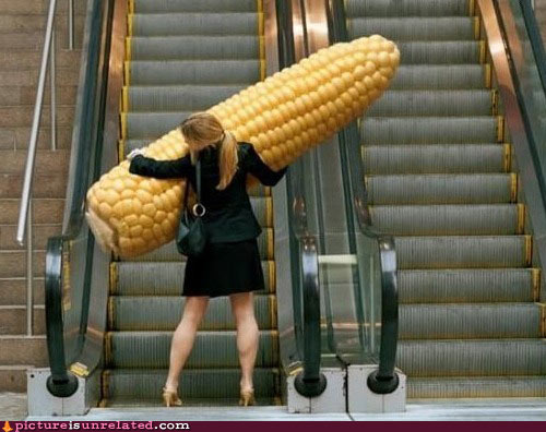 wtf-pics-hide-the-corn